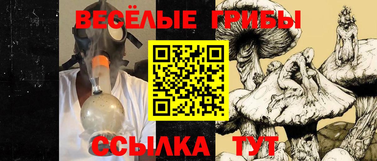 Псилоцибиновые грибы мухоморы Менделеевск